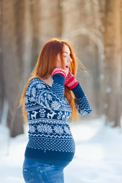 Belle Femme Enceinte Dans Forêt Hiver — Photo