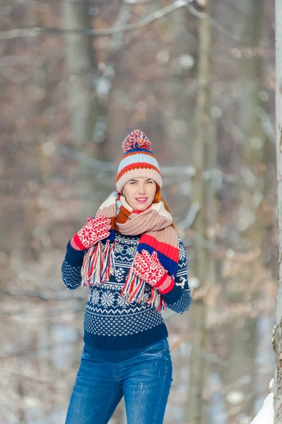 Güzel hamile kadın kış ormanında