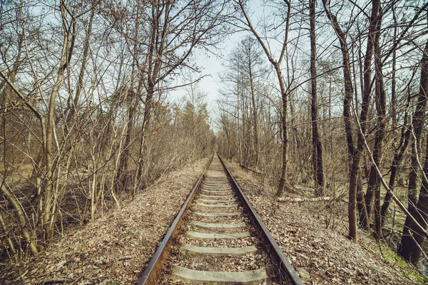 森を通るトンネルを通る列車 — ストック写真