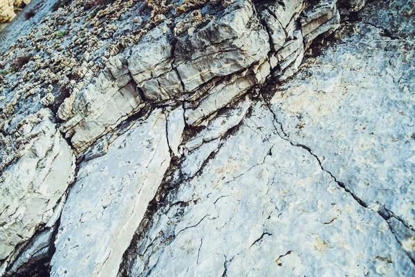 Textura Pedra Líquen Nele Falhas Pedra — Fotografia de Stock