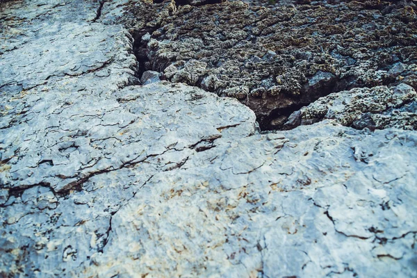 Υφή Της Πέτρας Και Των Λειχήνων Ελαττώματα Πέτρας — Φωτογραφία Αρχείου