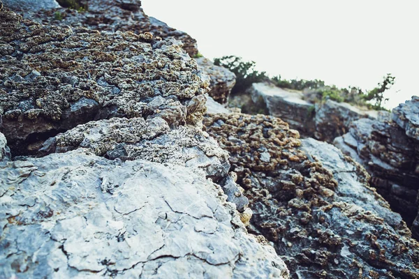 바위와 산으로 뒤덮인 바위투성이 — 스톡 사진