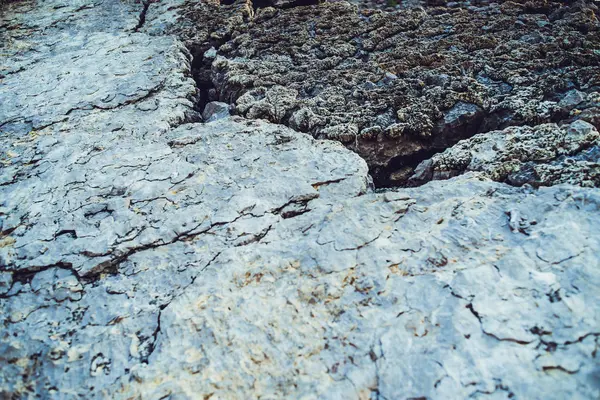 Textura Del Suelo Agrietado Fondo — Foto de Stock