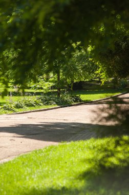 Şehirdeki güzel yaz parkı