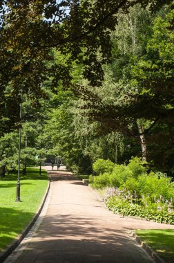 Yazın güzel bir park.