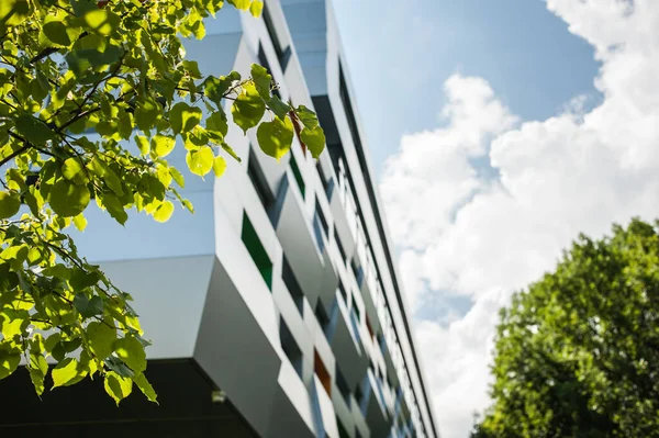 Moderne Fensterfassaden — Stockfoto