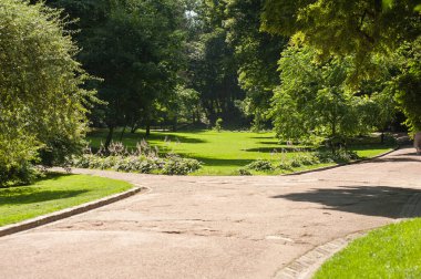 Yazın güzel bir park.