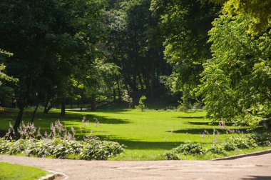 Parkın güzel manzarası