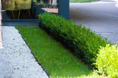 Geniş panoramik pencereleri ve peyzajı olan modern bir binanın ön cephesi.