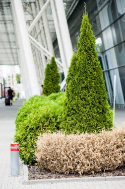 Havaalanı yakınındaki yeşil santraller. 