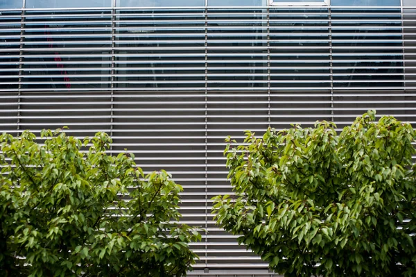Moderne Glasfassaden Großer Gebäude Architekturelemente — Stockfoto