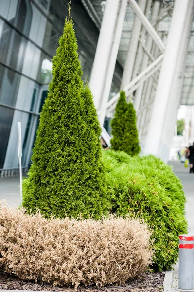 Green Trees Airport Building — ストック写真