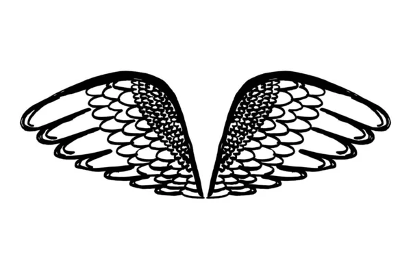 Handgezeichnete Engel Oder Vogelflügel — Stockvektor