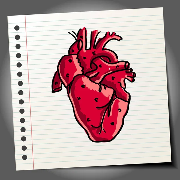 Cuore Umano Disegnato Mano — Vettoriale Stock