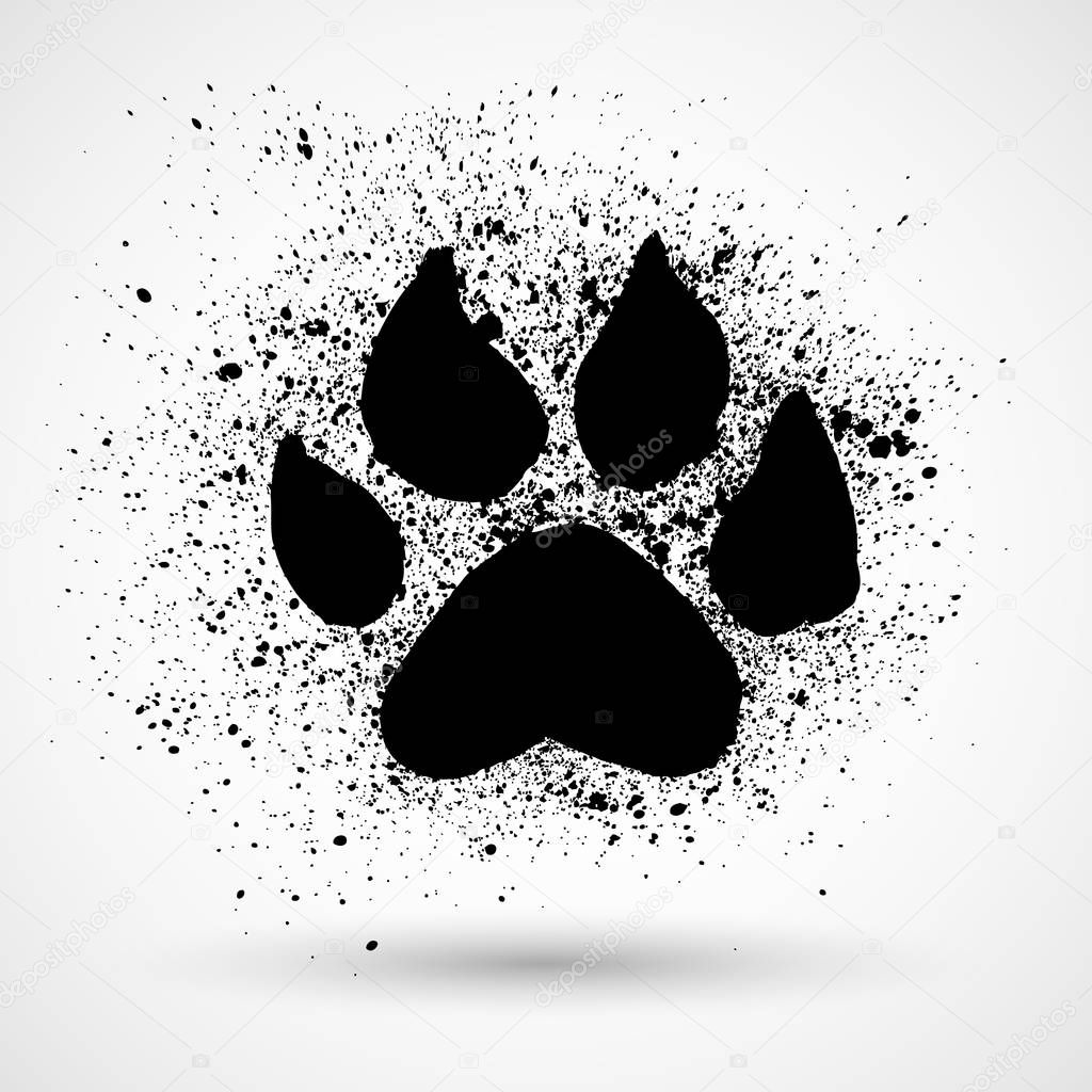 Paw Print isolated on white background