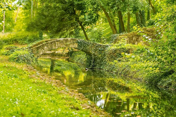 美しい川と秋の橋と緑豊かな公園 — ストック写真