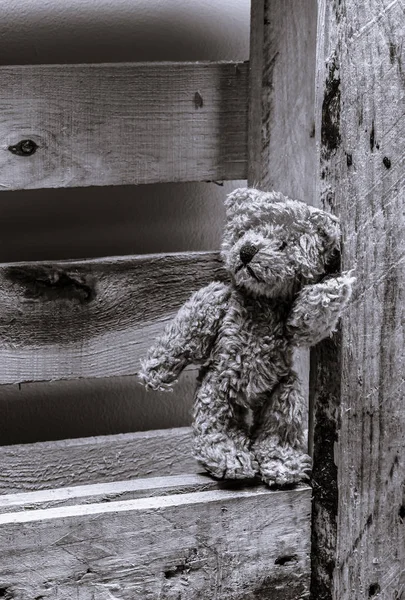Peluche peluche soporte de oso sobre fondo de madera blanco y negro — Foto de Stock