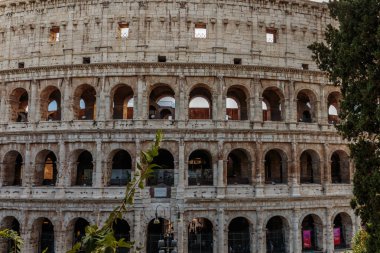 Colosseum veya Coliseum, olarak da bilinen Flavius anfi tiyatro.