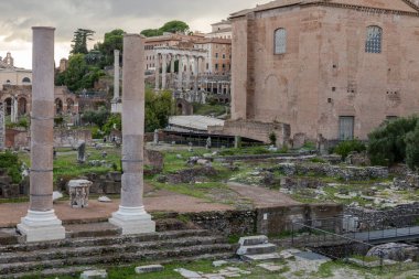 Roma Forumu 'nun Roma harabelerinin ayrıntıları. Roma Forumları, Roma şehrinin merkezindeki çok sayıda önemli antik hükümet binasının kalıntılarıyla çevrili dikdörtgen bir forum (plaza)..