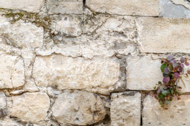 Taş duvar dokusu arkaplanı