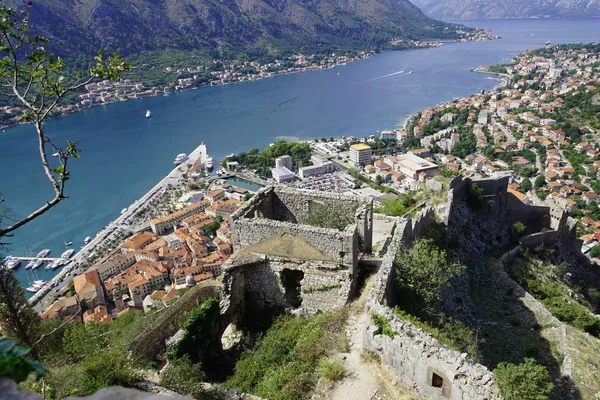 Montenegro Vista Fortaleza São João Kotor — Fotografia de Stock
