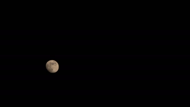 Månen rör sig i den mörka natthimlen — Stockvideo