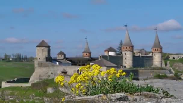 Antigua fortaleza en Kamenetc-Podilsky — Vídeo de stock