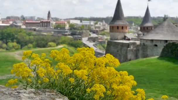 Fleurs sauvages et une vieille forteresse — Video