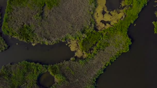 vue aérienne du lac