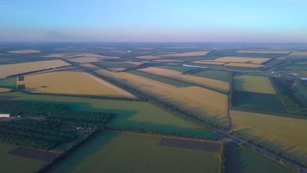 Панорама сільськогосподарських полів України — стокове відео