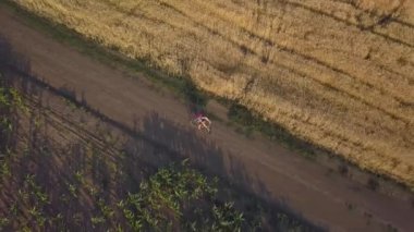 Bir bisikletçi yolun tarım alanları arasında sürmek