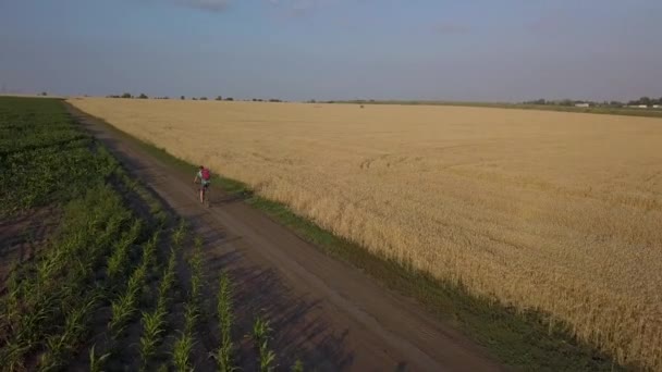 Cyklista jede po silnici mezi zemědělskými poli — Stock video