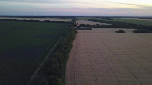 Panorama de campos agrícolas da Ucrânia — Vídeo de Stock