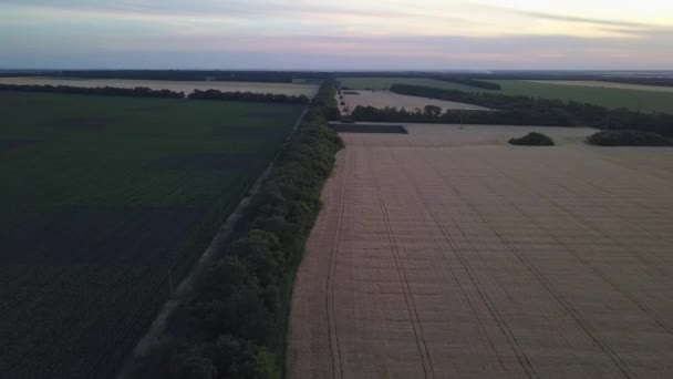 Panorama of agricultural fields of Ukraine — Stock Video