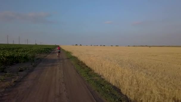 Cyklista jede po silnici mezi zemědělskými poli — Stock video