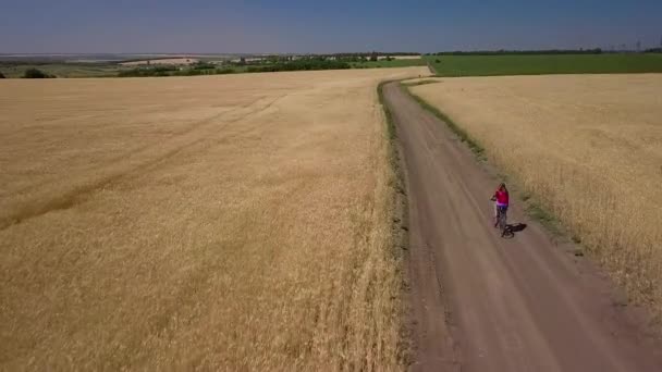 Girl riding a bicycle — Stock Video