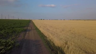 Bir bisikletçi yolun tarım alanları arasında sürmek