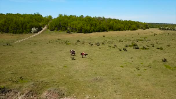 De strijd tussen de Poolse en Oekraïense troepen — Stockvideo