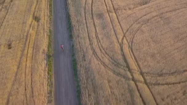 Cyklista jede po silnici mezi zemědělskými poli — Stock video