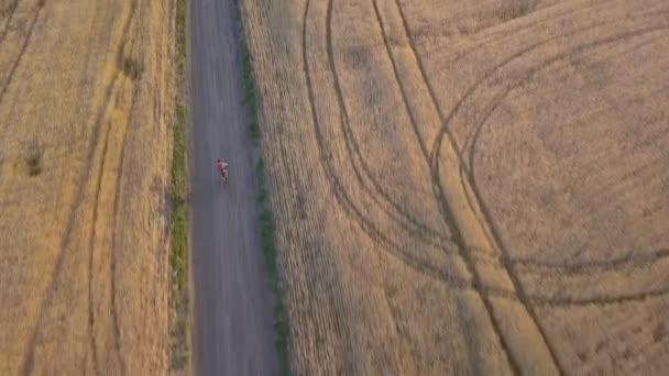 Um ciclista percorre a estrada entre campos agrícolas — Vídeo de Stock