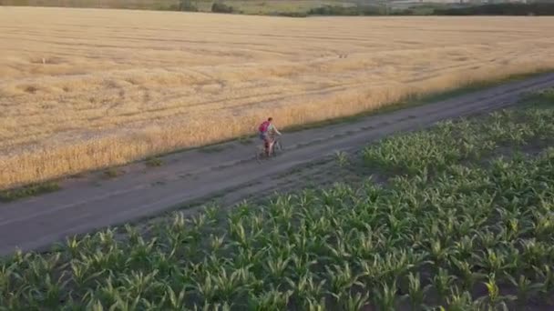 Um ciclista percorre a estrada entre campos agrícolas — Vídeo de Stock