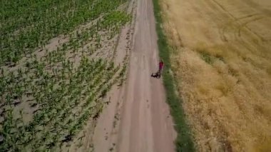 Kız yolda arasındaki tarım alanları sürmek.