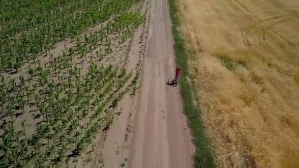 Девушка едет по дороге между сельскохозяйственными полями — стоковое видео