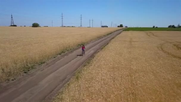 Lány lovagol az úton, mezőgazdasági területek között — Stock videók