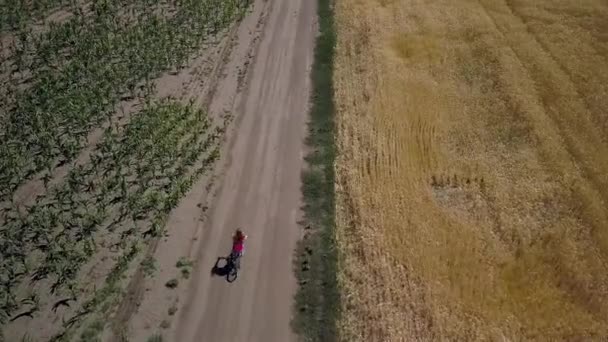 Dívka jede po silnici mezi zemědělskými poli — Stock video