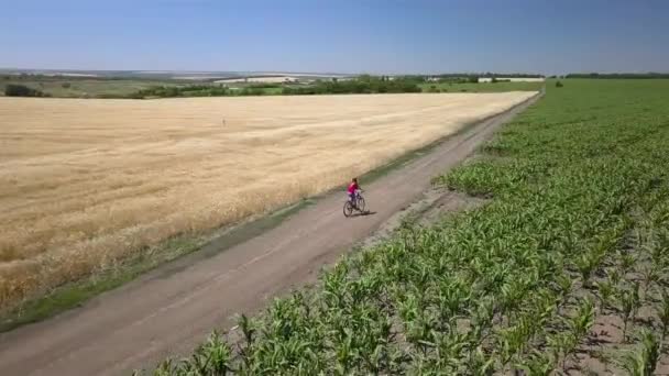 Девушка едет по дороге между сельскохозяйственными полями — стоковое видео