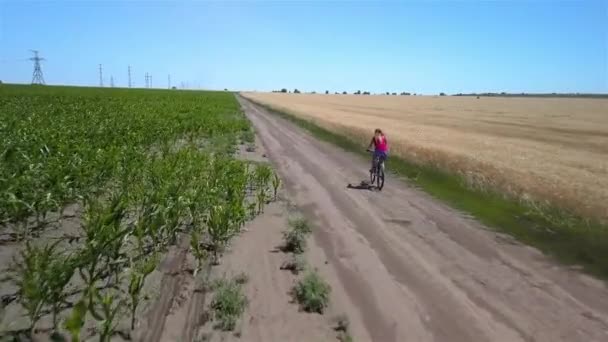 Chica paseos a lo largo de la carretera entre campos agrícolas — Vídeos de Stock