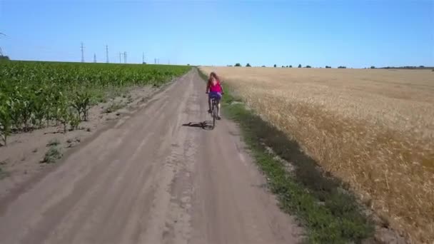 Flicka rider längs vägen mellan åkrar — Stockvideo