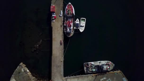 Pier з суден — стокове відео