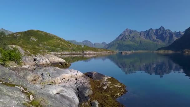 Fliegen durch das Zelt — Stockvideo